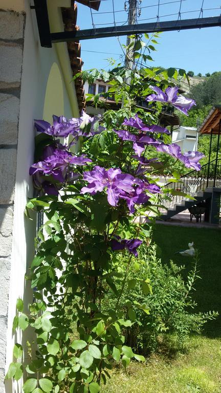 Guest House Benita Девин Экстерьер фото
